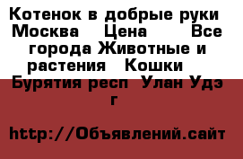 Котенок в добрые руки. Москва. › Цена ­ 5 - Все города Животные и растения » Кошки   . Бурятия респ.,Улан-Удэ г.